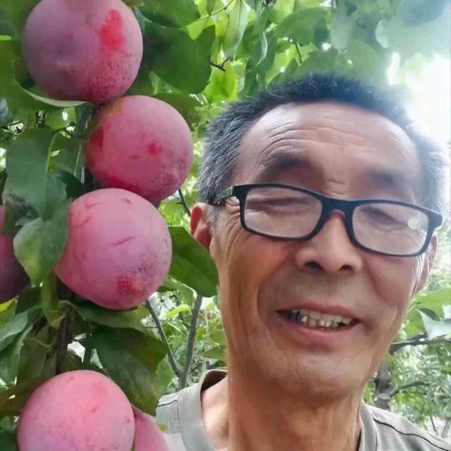 好果8头像