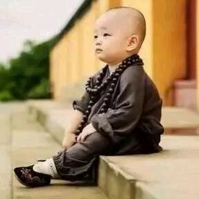 南城忘，北城伤