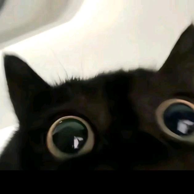 ᵕ̈辻᭄ཏᵕ̈弎᭄