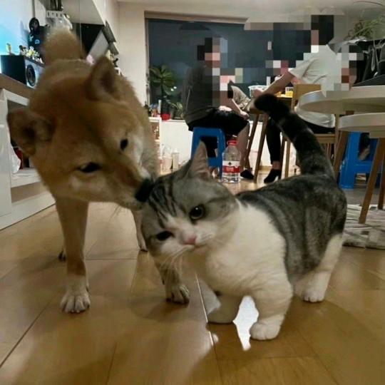 写写同学