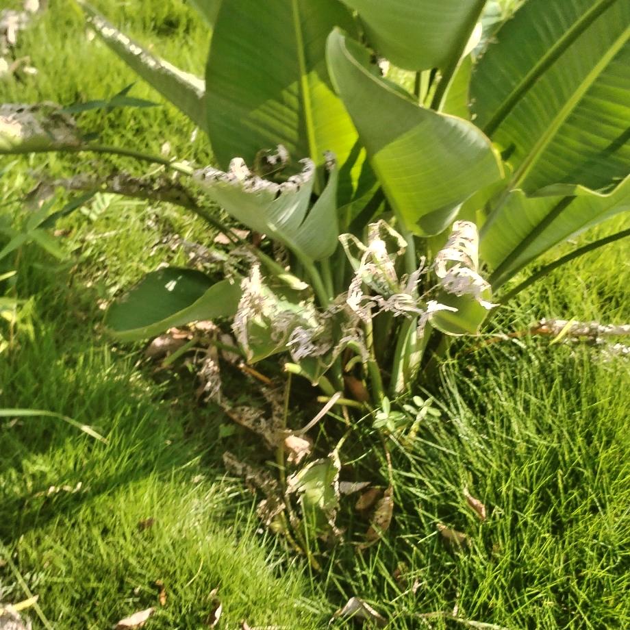 感悟