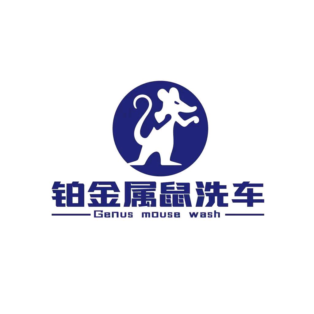 铂金属鼠汽车美容装饰店