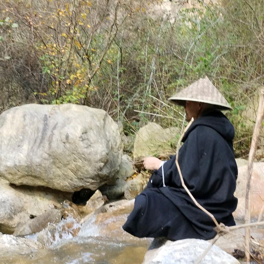 南山隐者内丹运动