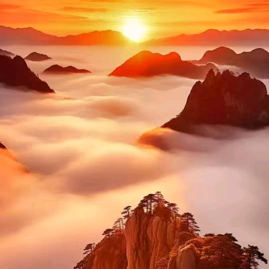 美丽国