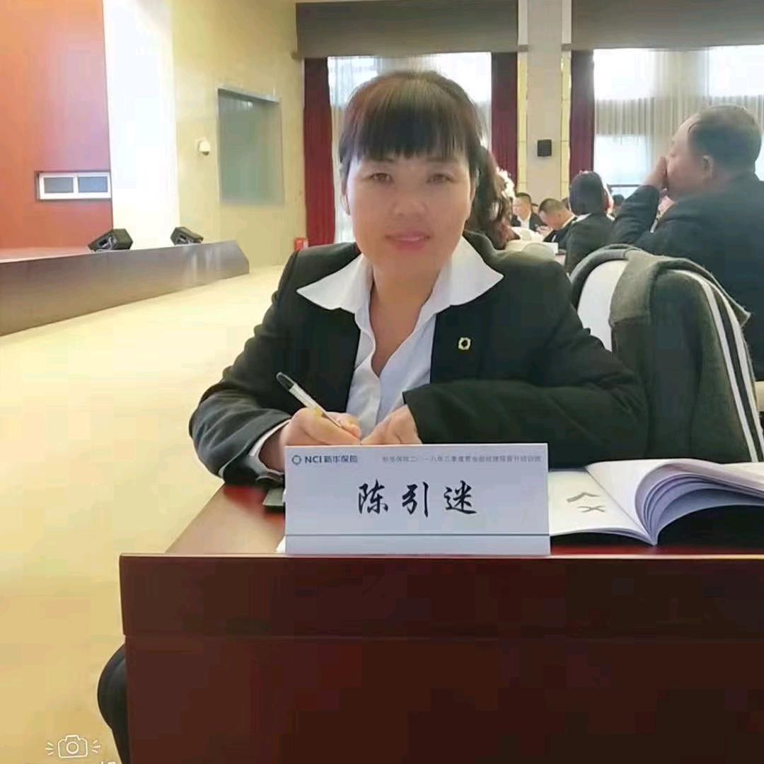 陈引迷