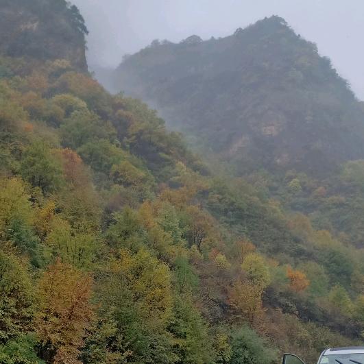 只饮烈酒不谈过往🤪