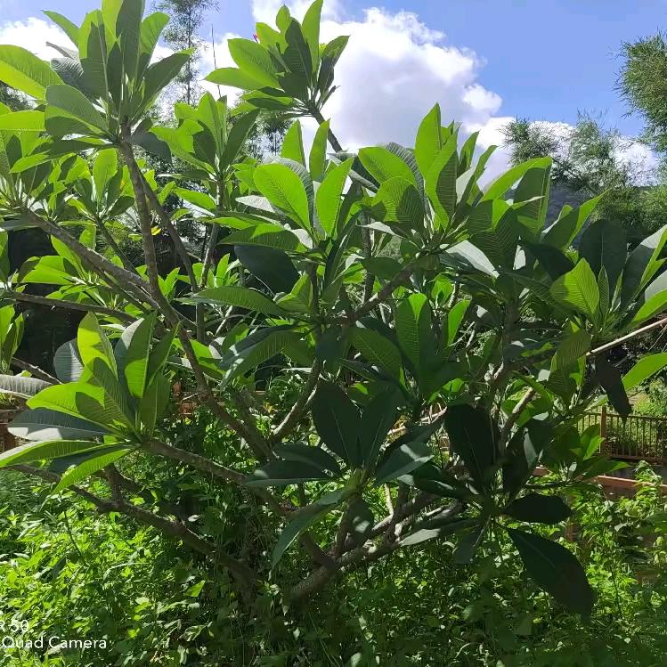 💫贪财好色😘