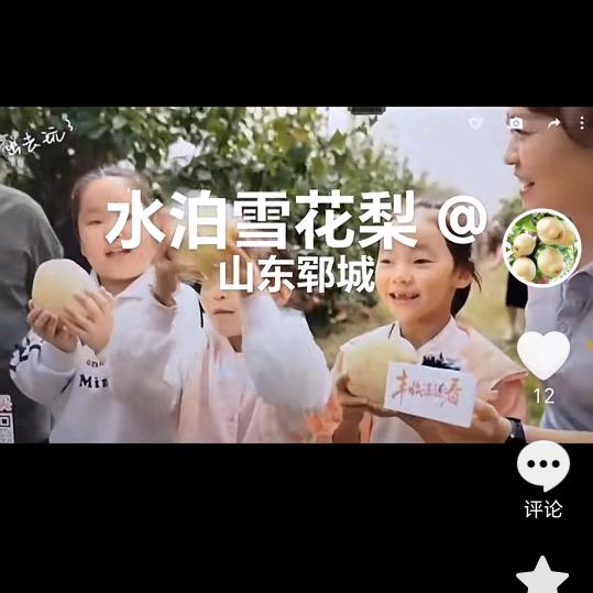寻找田园生活、生态理念的人