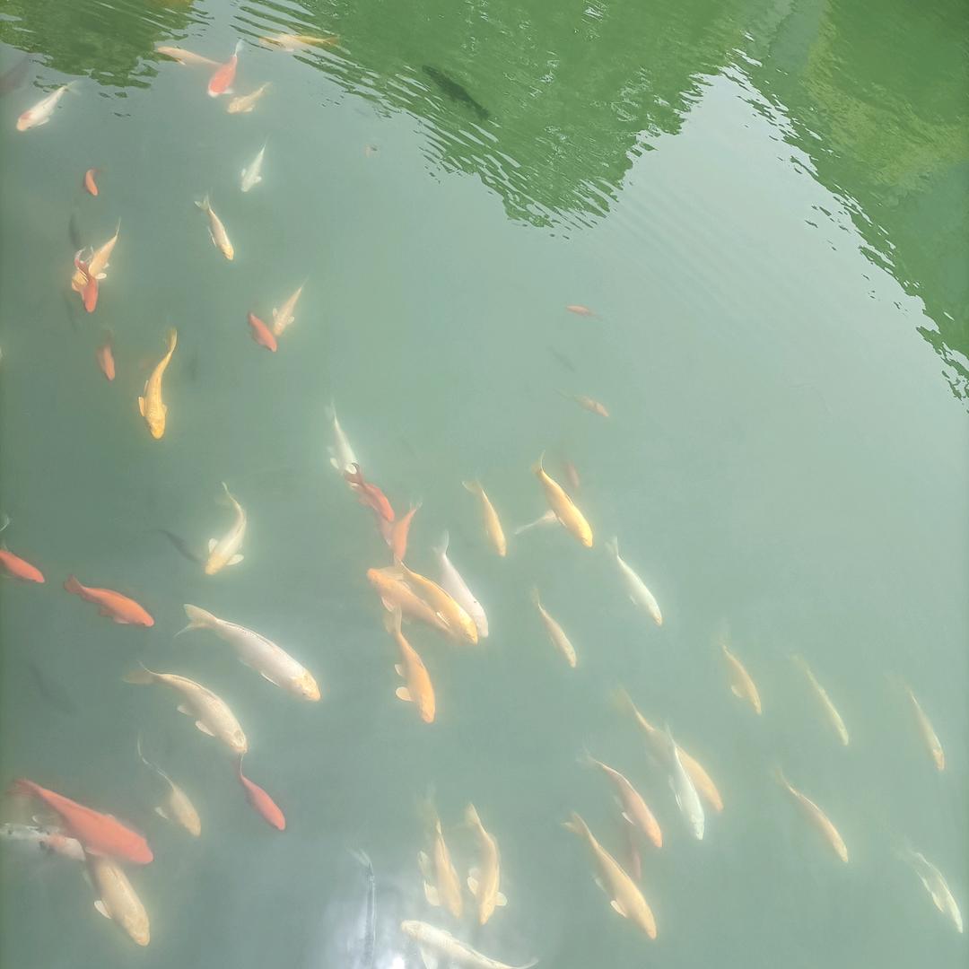 雨后的彩虹
