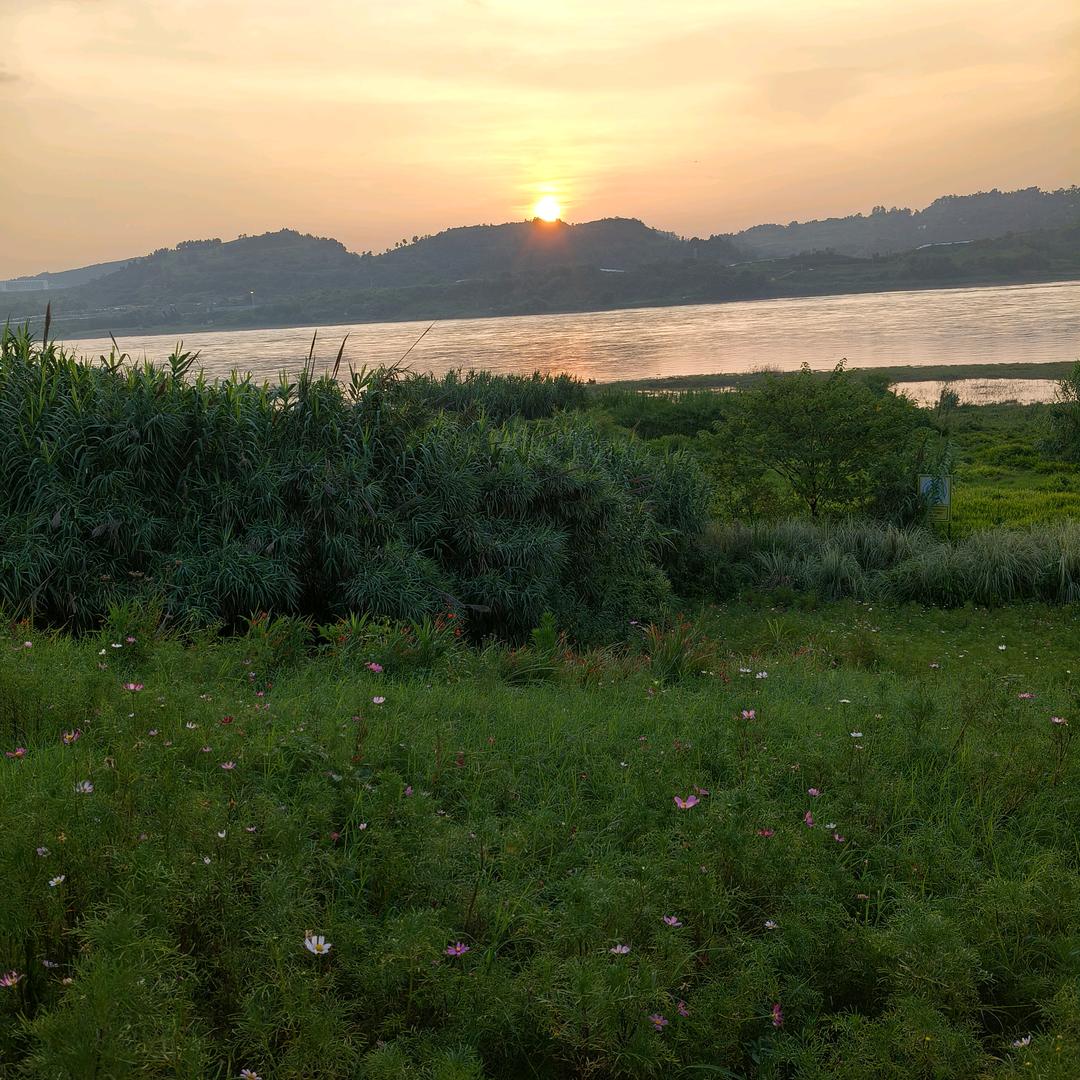 小风筝