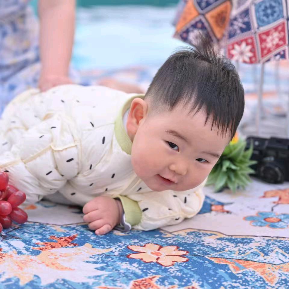 梦