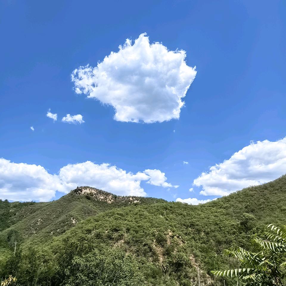 燕赵传媒