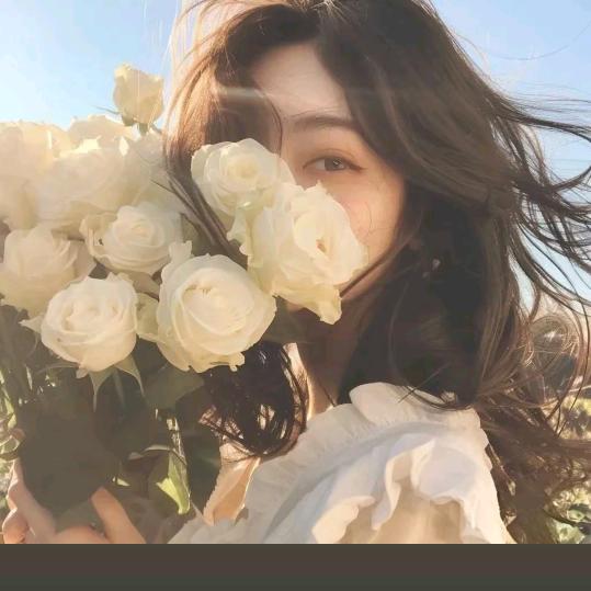 向着太阳的向日葵