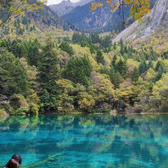 我家有俩吞金兽