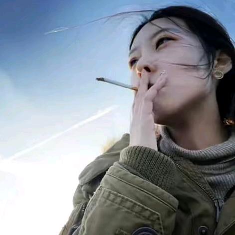 乐迪宝宝头像