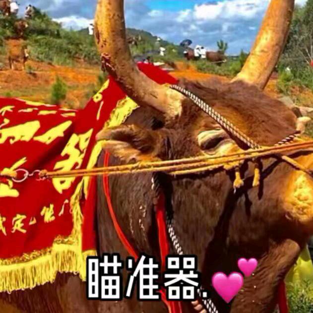 刀总
