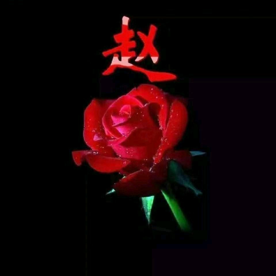 🎊💘千祥云集💘🎊