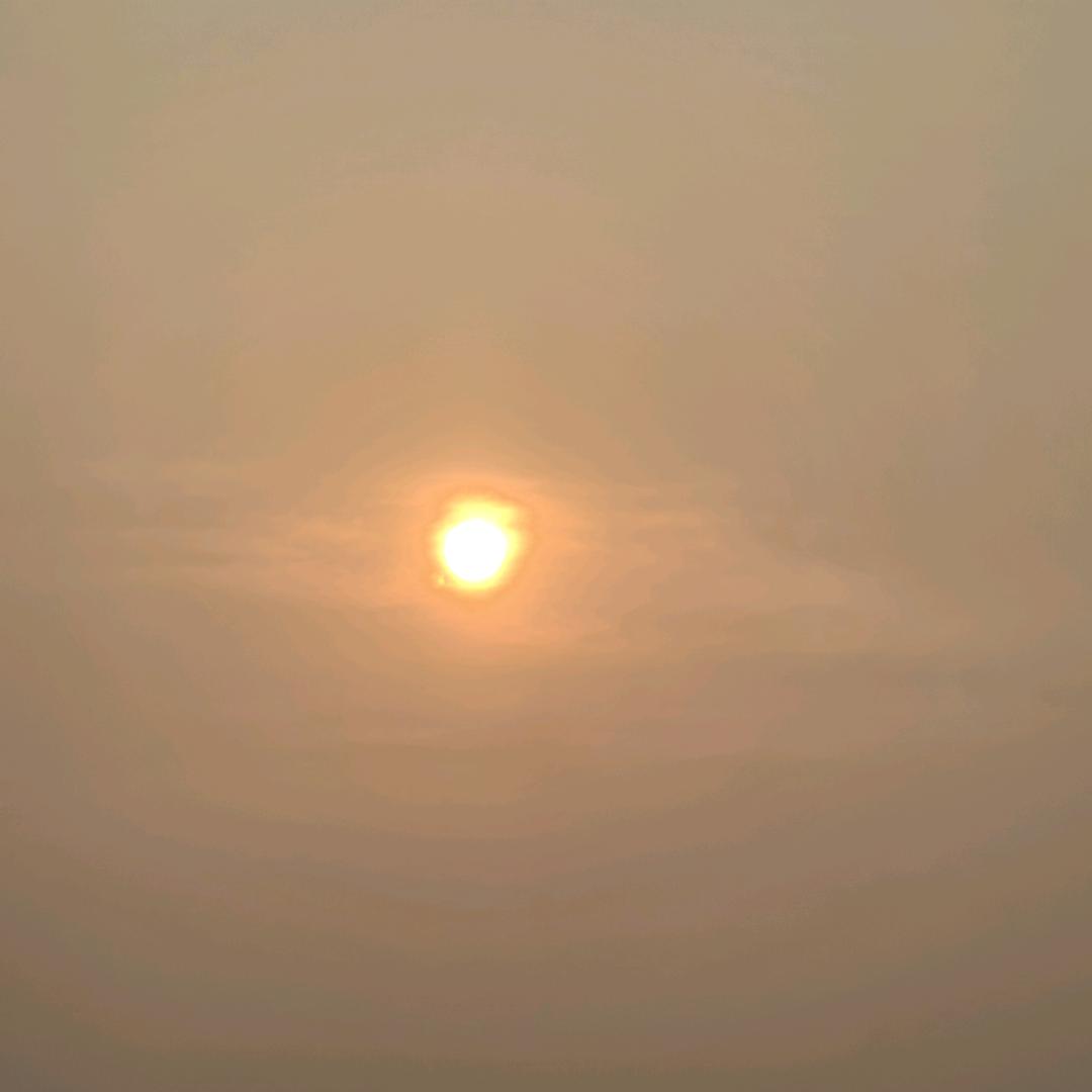 孤芳自赏