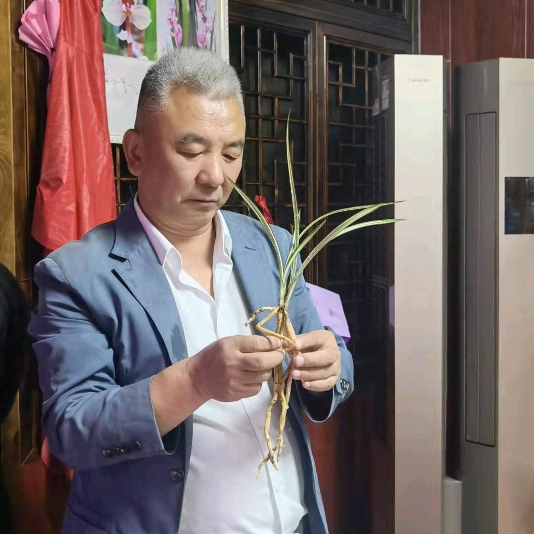 （张明）中洋-明玥国兰