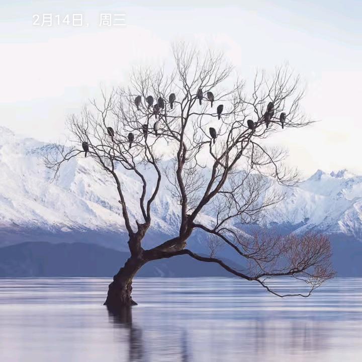早餐掉了