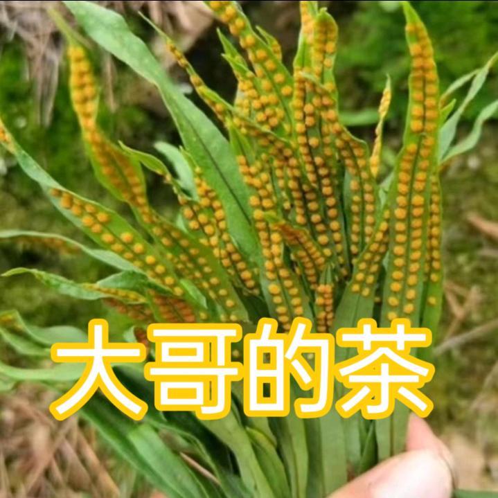 东北野生山货