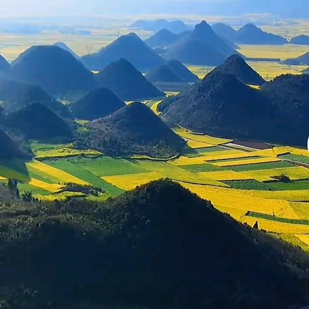 🌾🌾🌾🌾🌾🌾