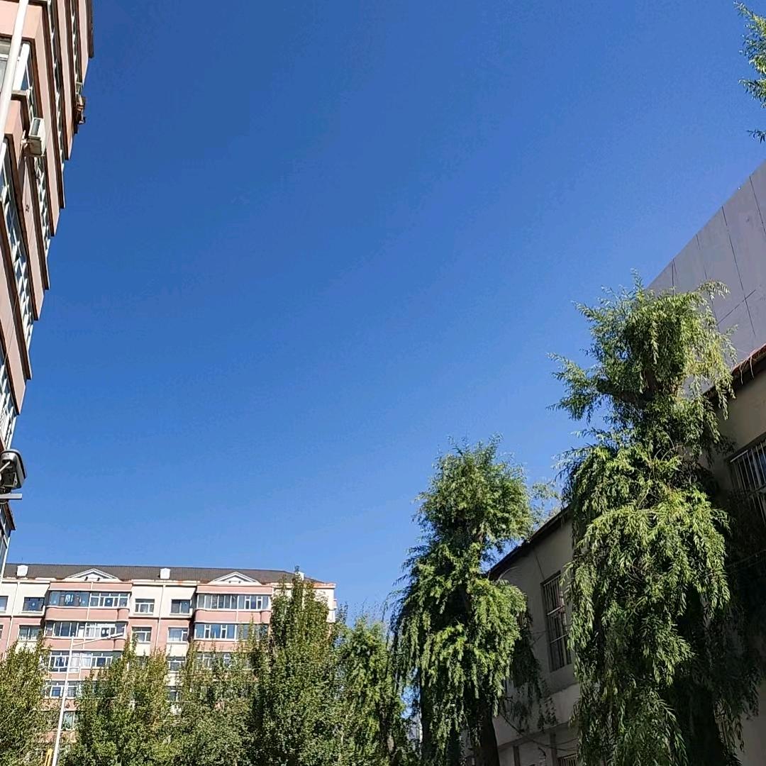 没烦恼