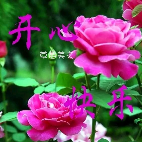 美丽人生71122