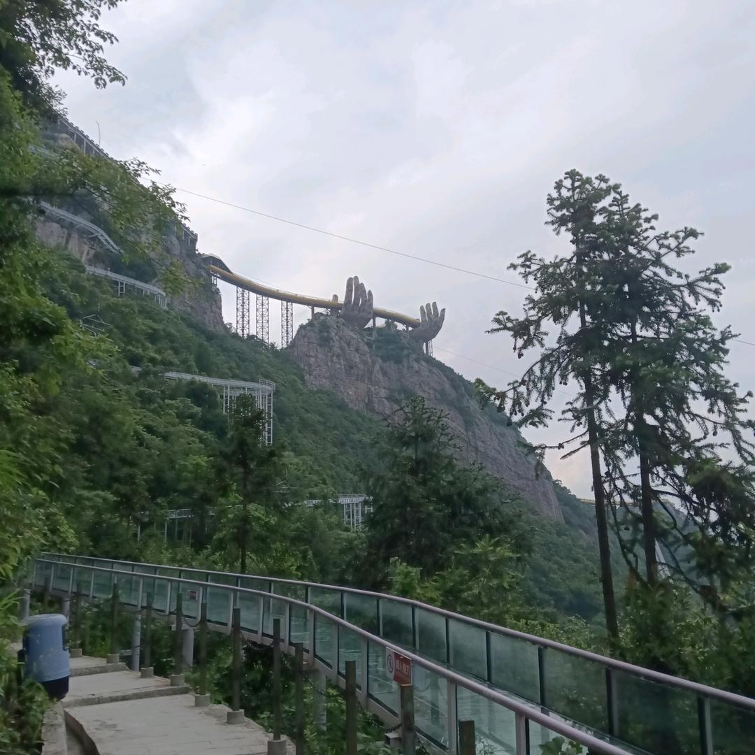 气质哥哥必须回观