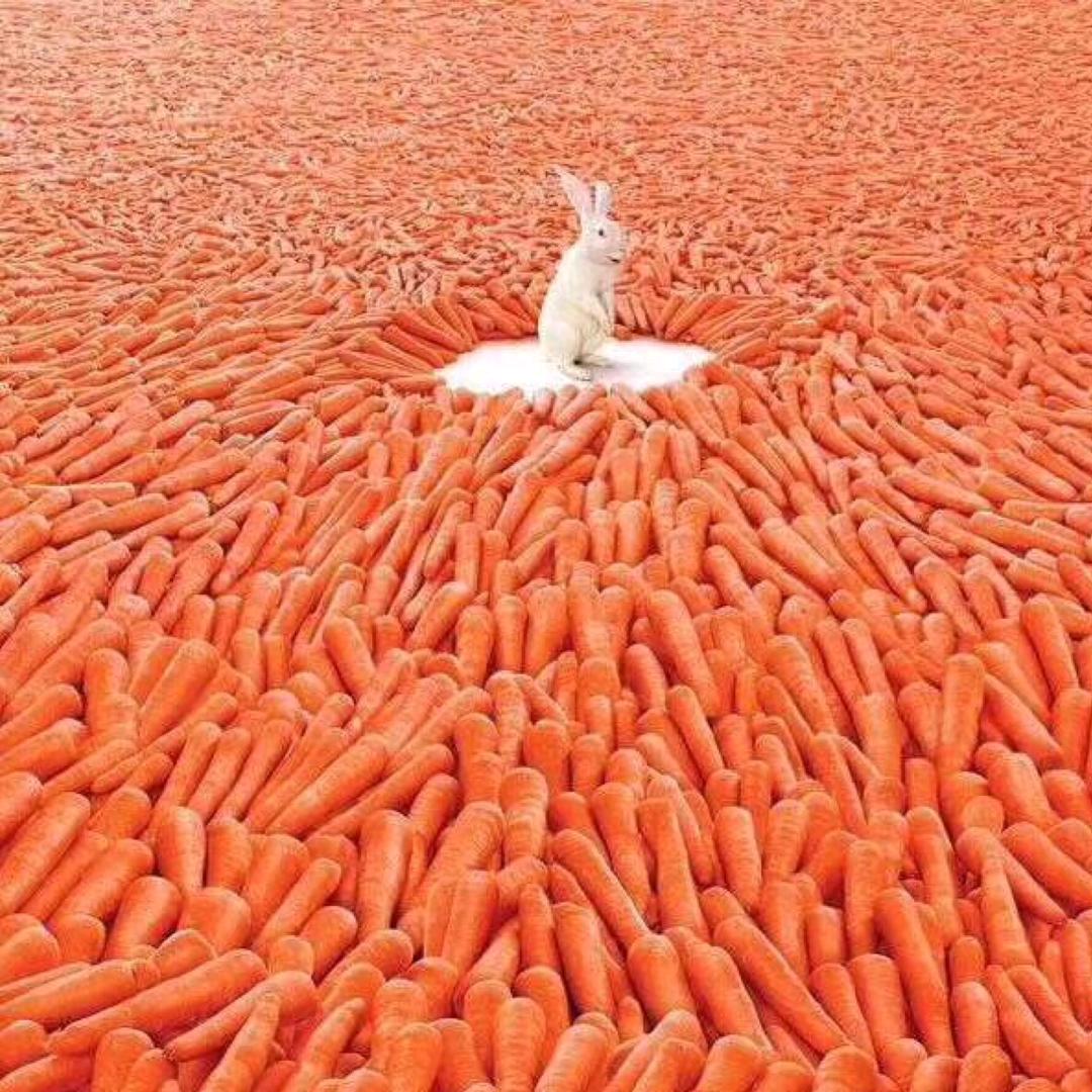 其实我不墨迹✨