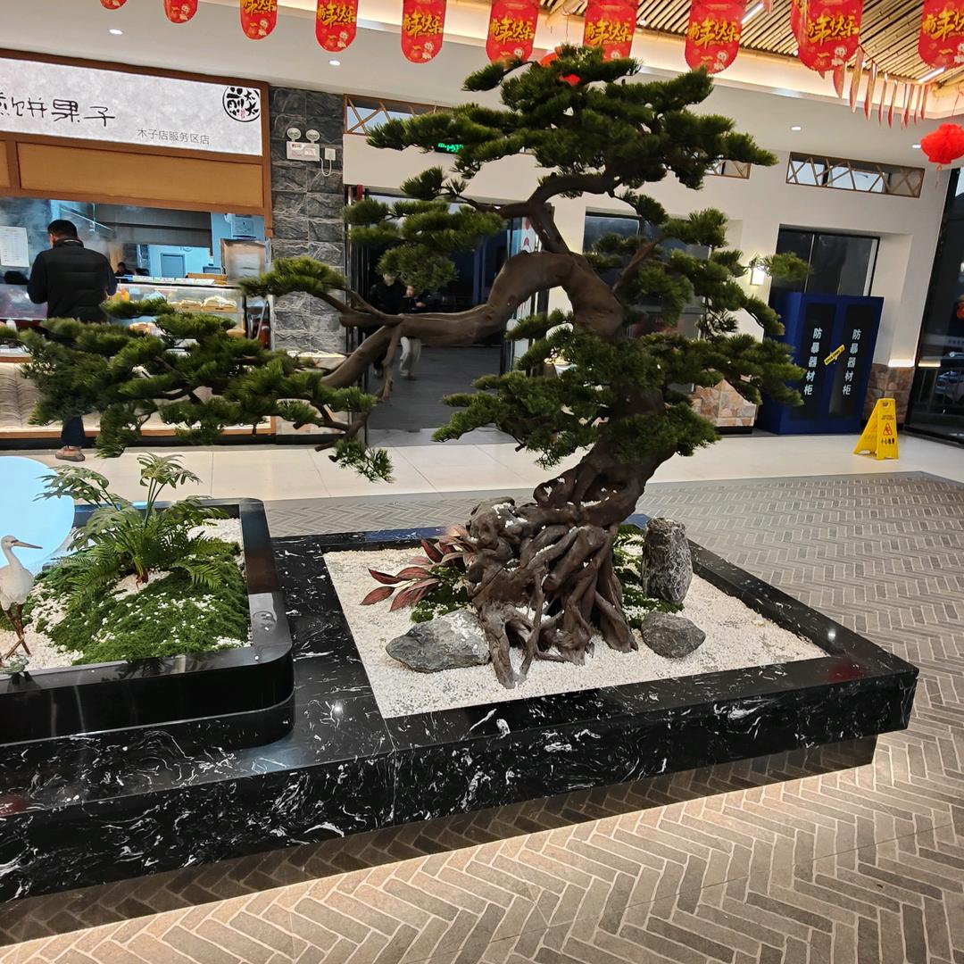 胡哥