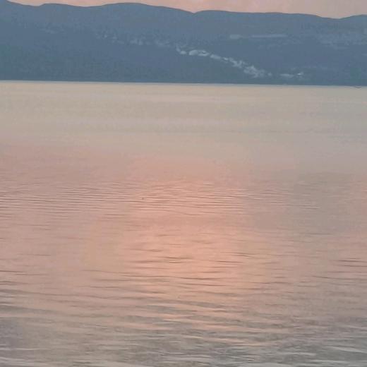 单身照样度春秋