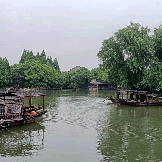 娇娇
