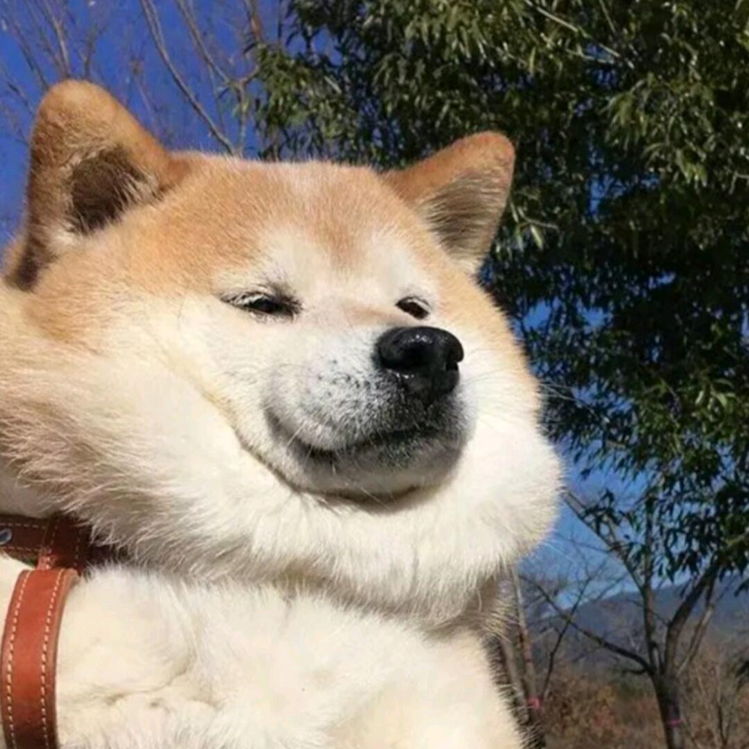 六入尽明诸相皆无