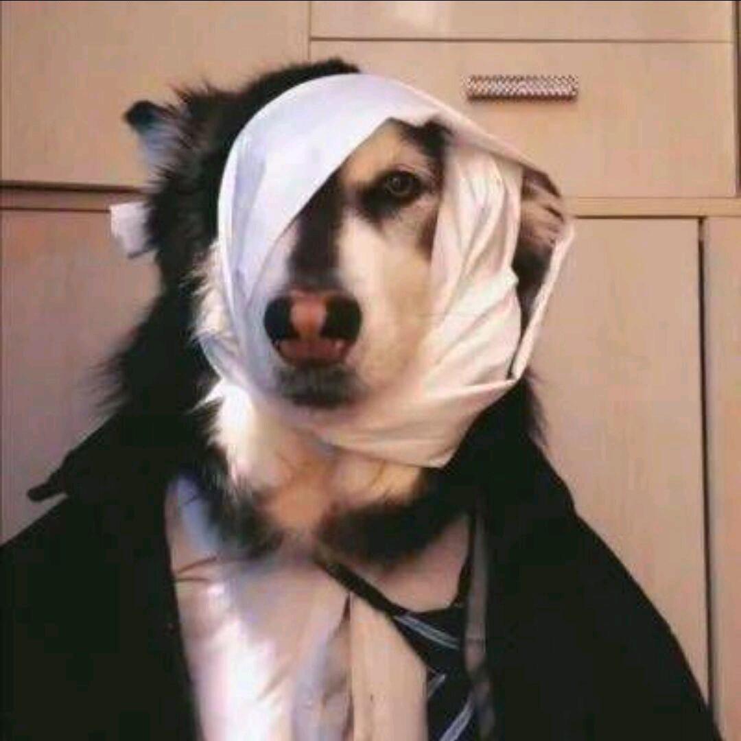 斯文不白吃