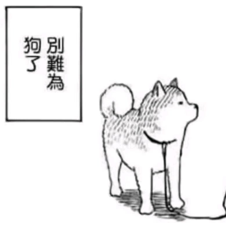 狗摸我哟