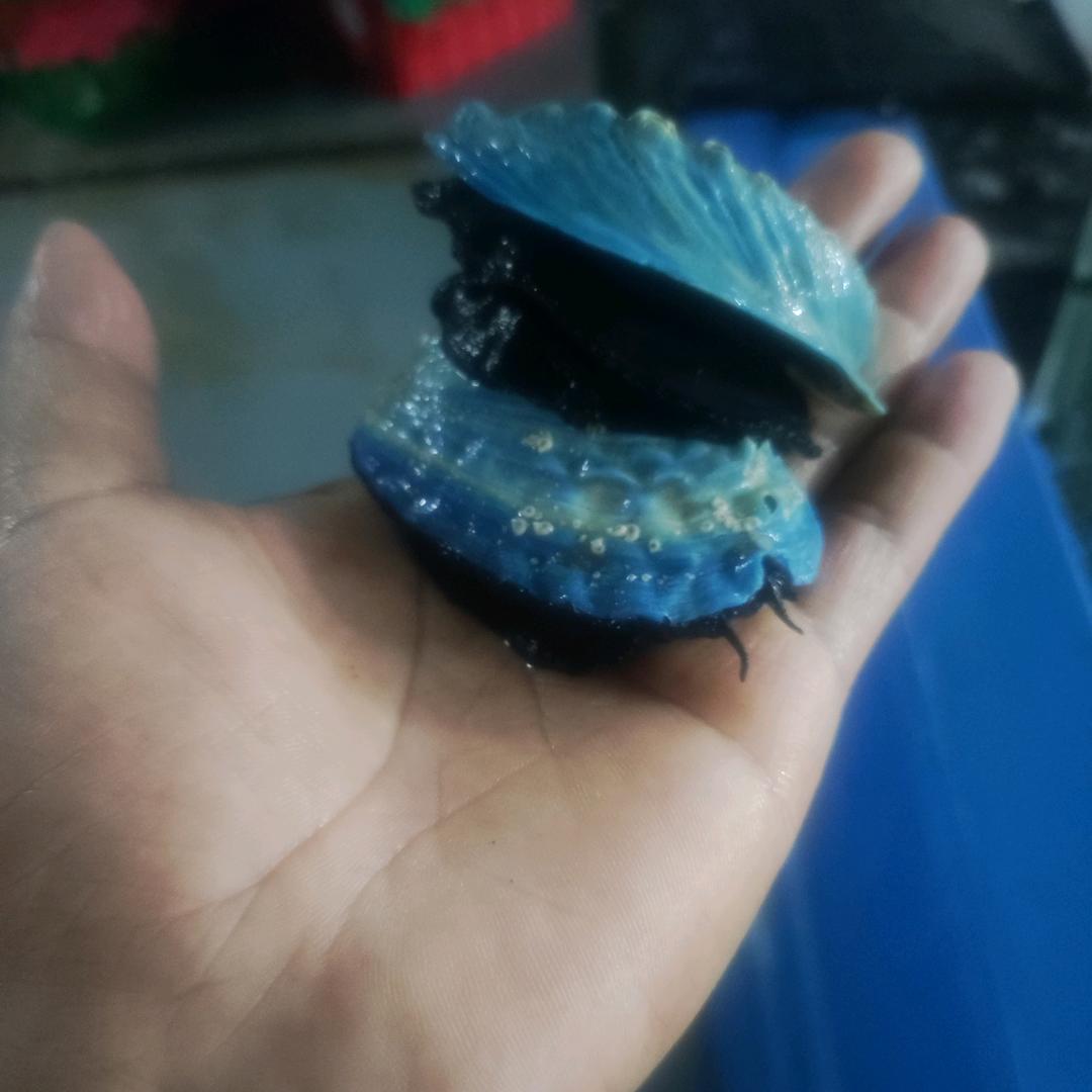 罖亼