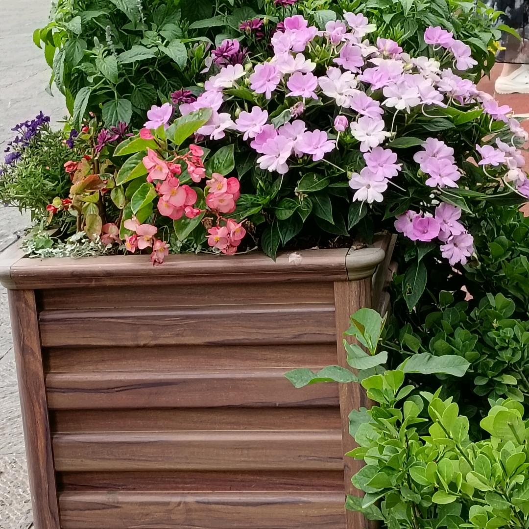 玉花