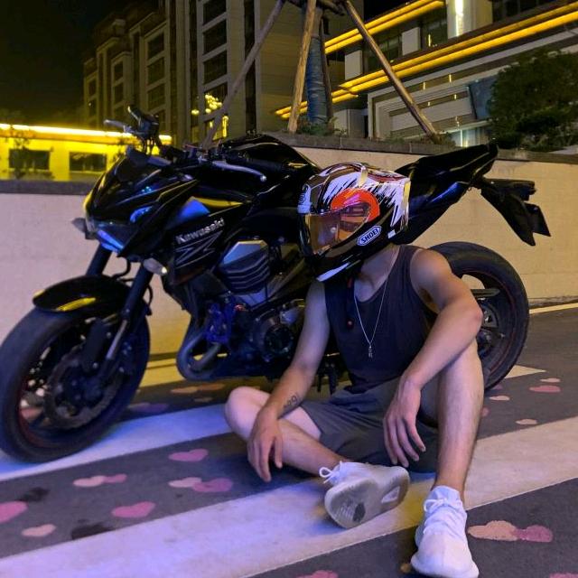龍龍