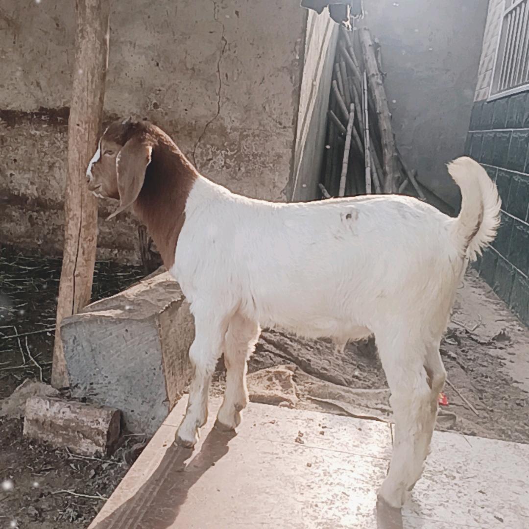 做自己喜欢的事