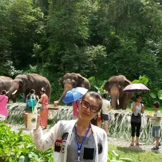 🎈久窝的旅行