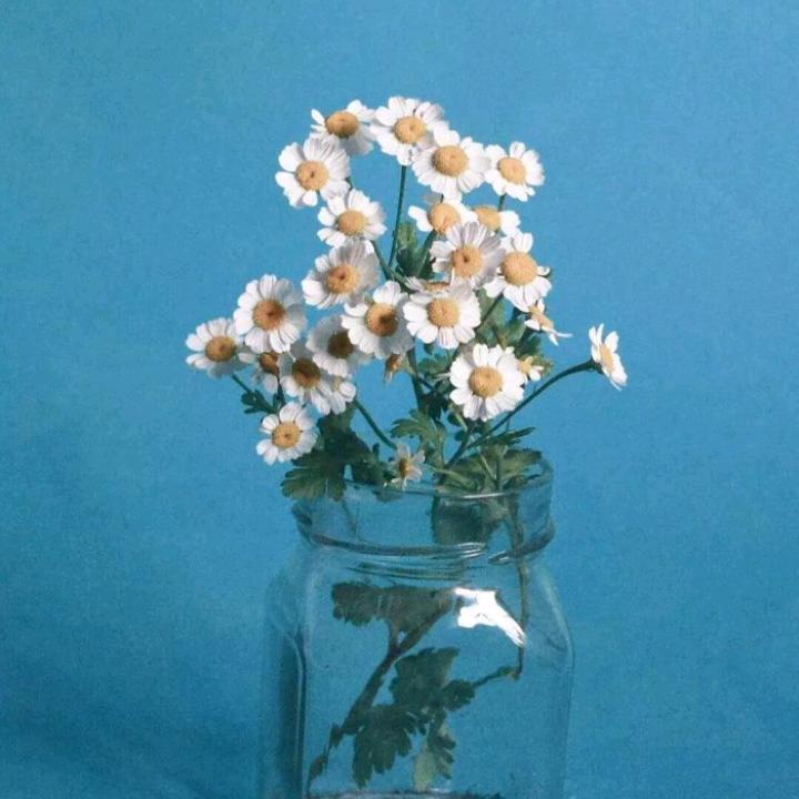 苏滁儿康1