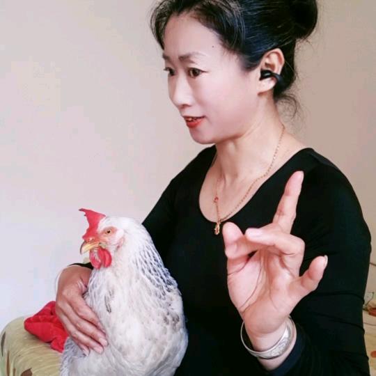 💫有你陪伴🌱真好👉🐔