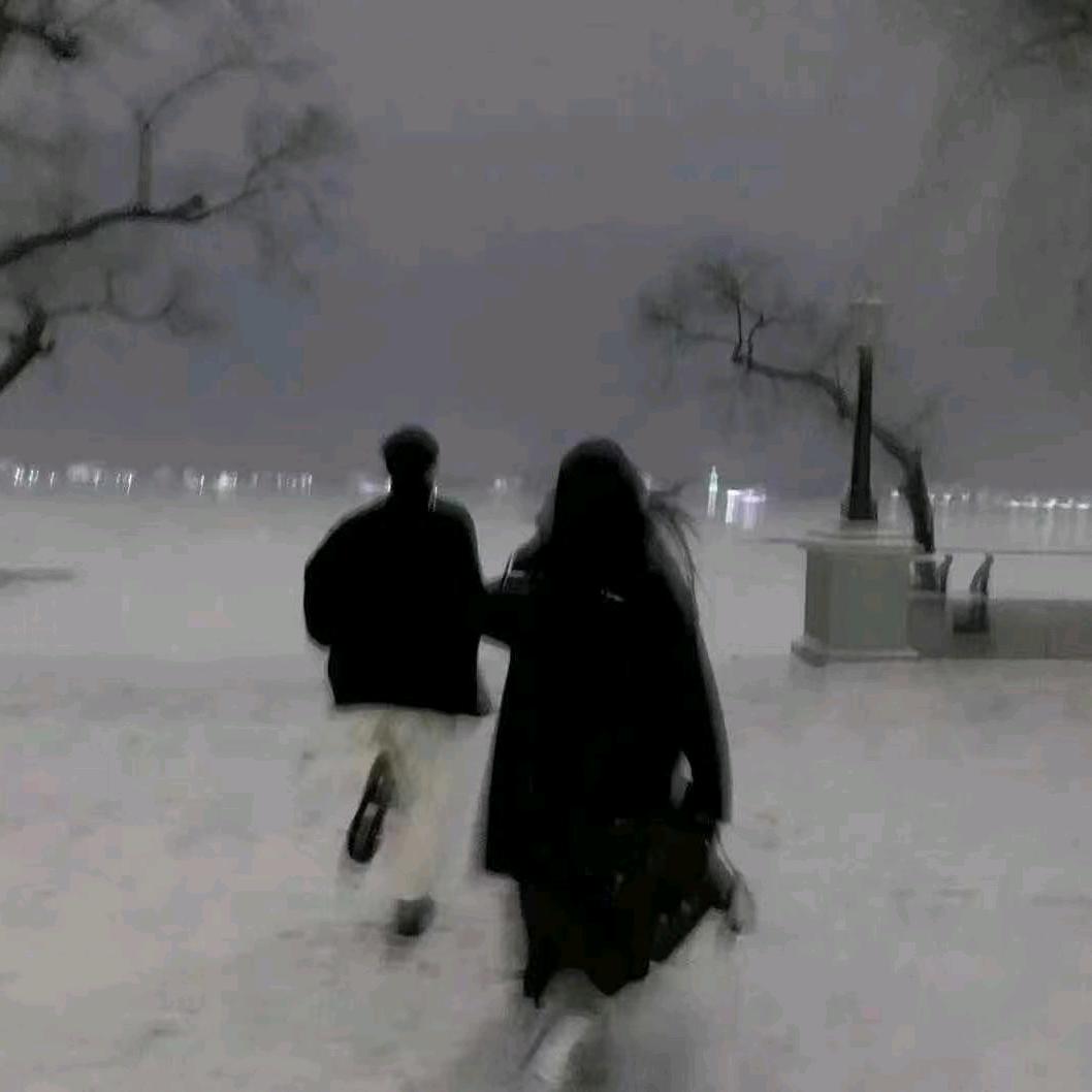 ꧁暴龙战士꧂（期末版）