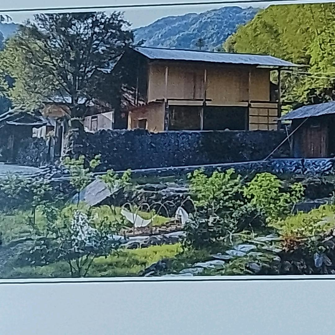 ༆大风吹倒梧桐树༆