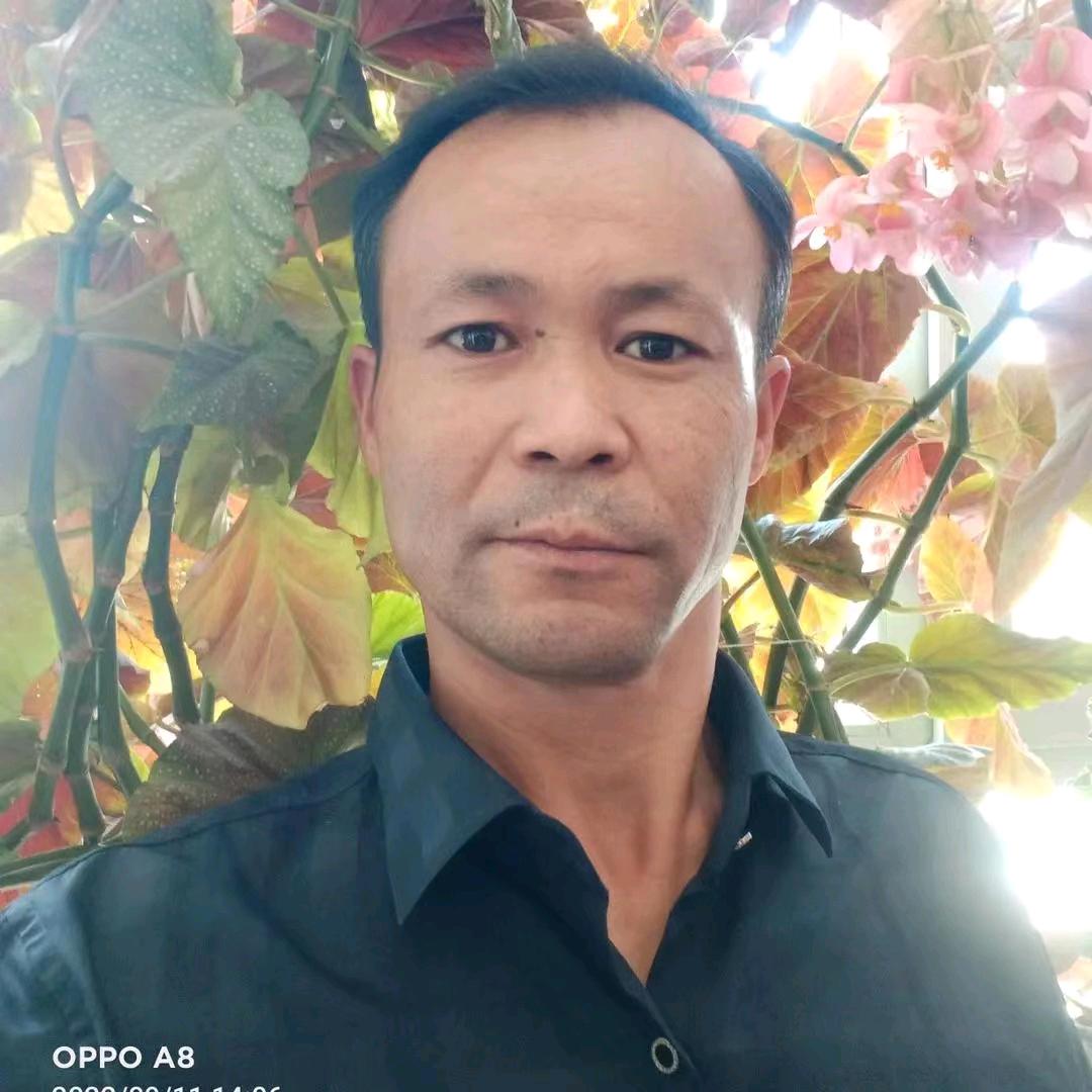 托合提