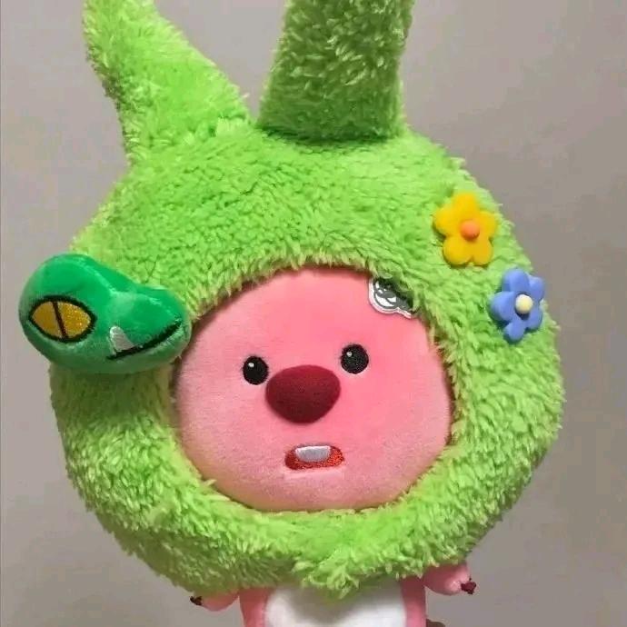 琪软