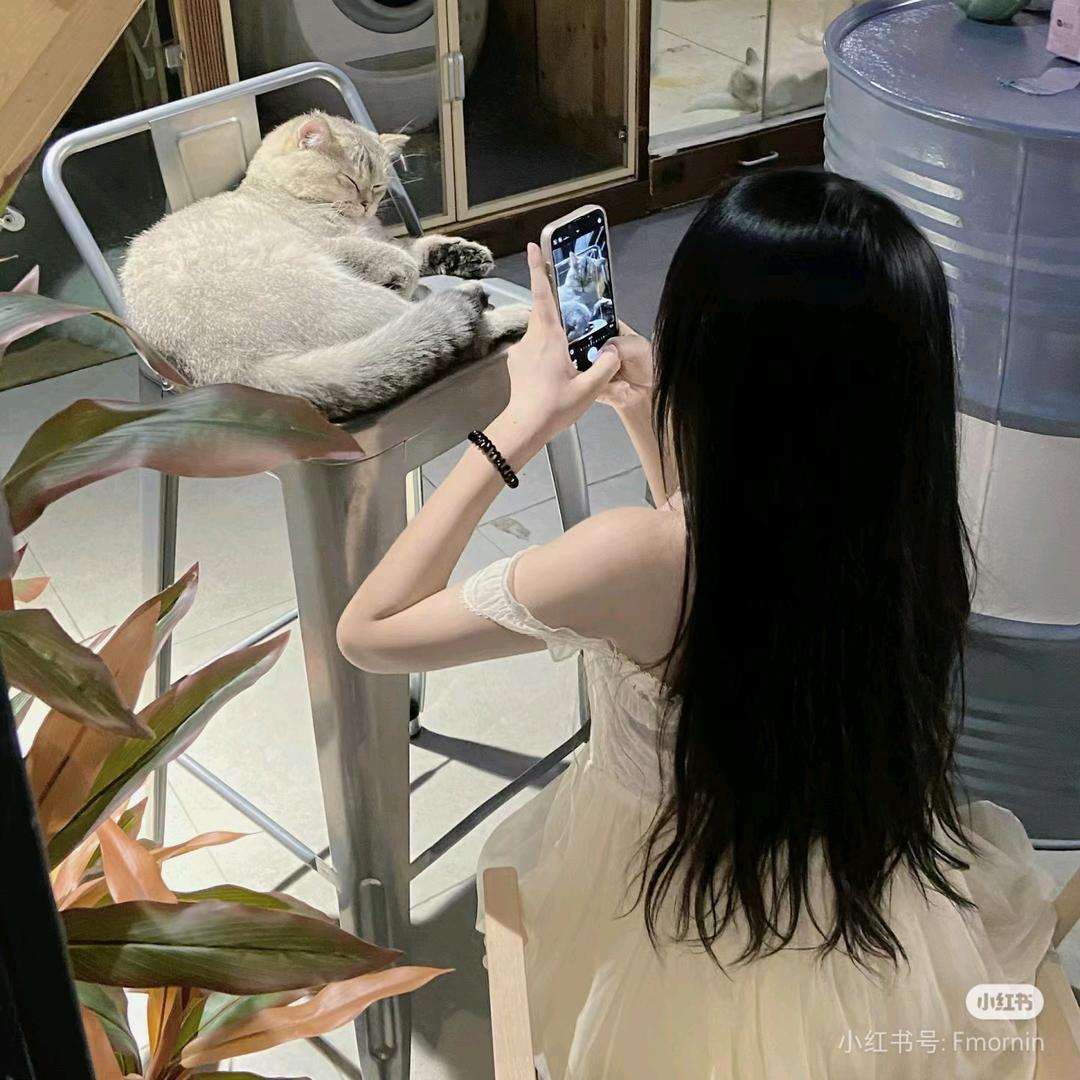 开BYD的小梦迪🍊