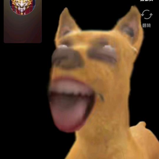 玊
