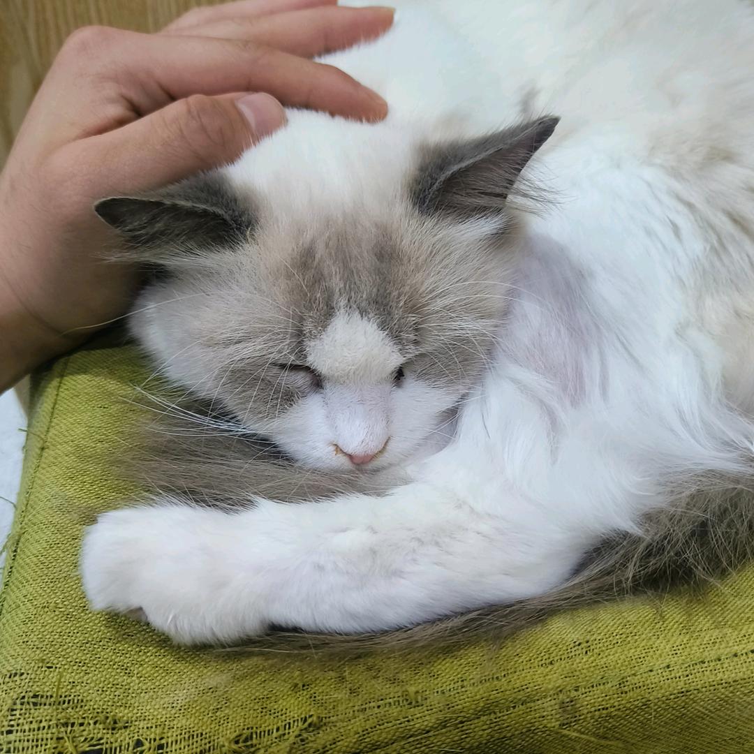 再见，更好的自己